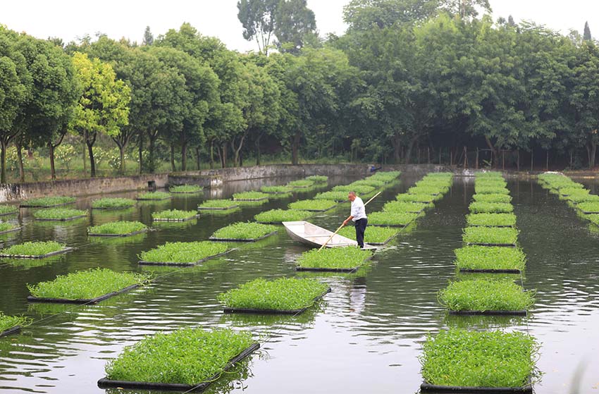 ????? ??????????? ?? ??????????