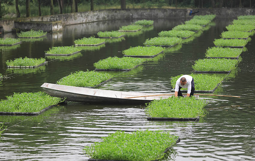 ????? ??????????? ?? ??????????