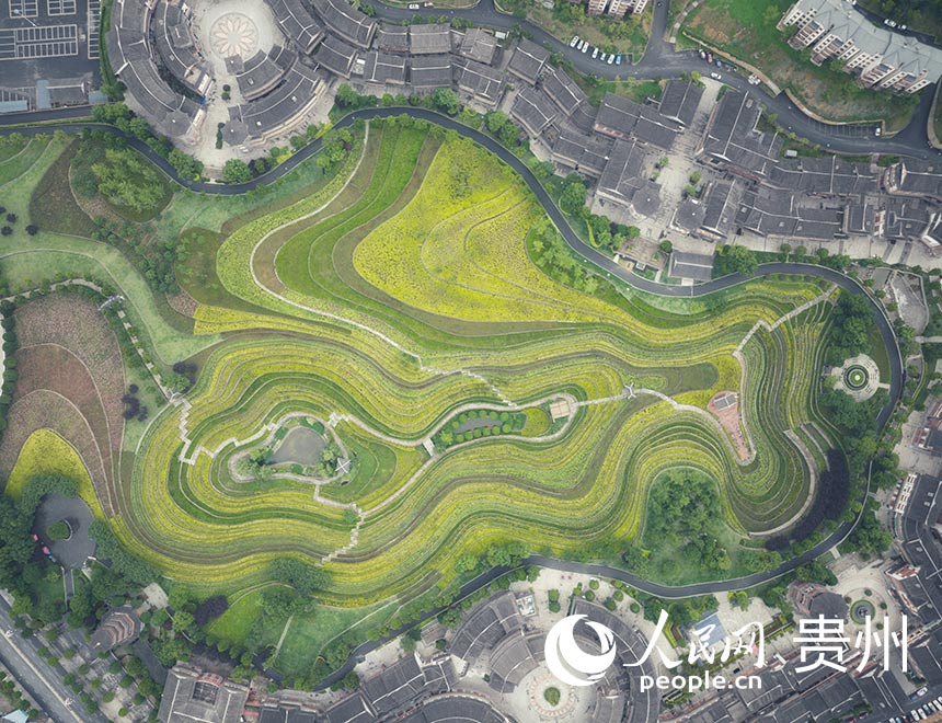 ???? ?????? ?? ???? ????? ???????? ???????