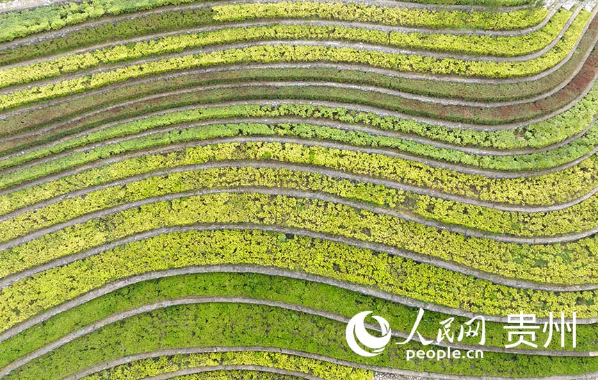 ???? ?????? ?? ???? ????? ???????? ???????