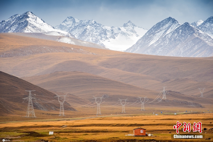 ???? ???? ?????????? ??? ???? ????? ?? ?????