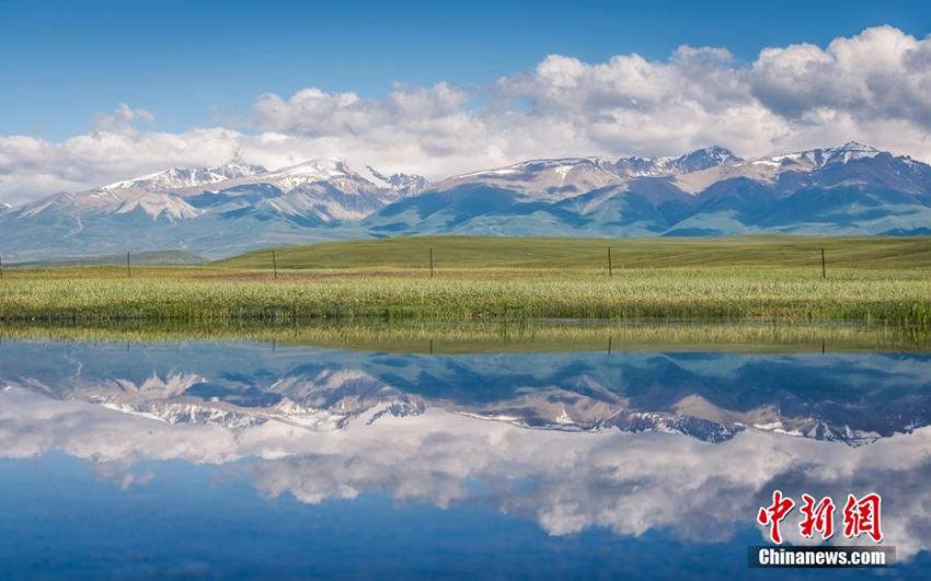 ???? ???? ?????????? ??? ???? ????? ?? ?????