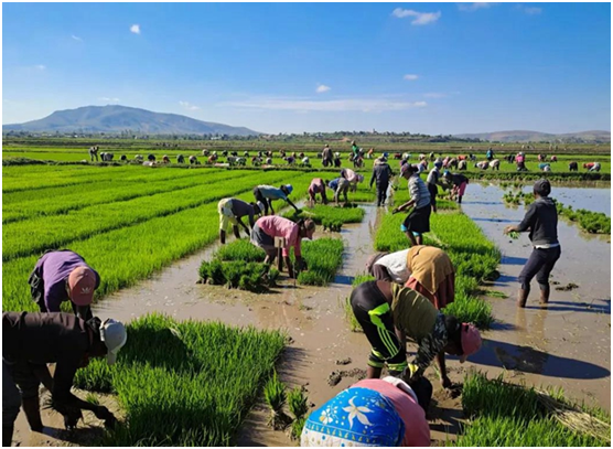 ?????: ????? ????? ??? ?? ?????? ?? ??? ????? ??????? ???????