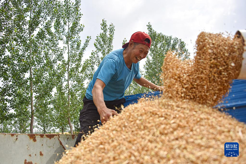 ????? ???? ???? ?? 80 ?? ?????? ?? ?????