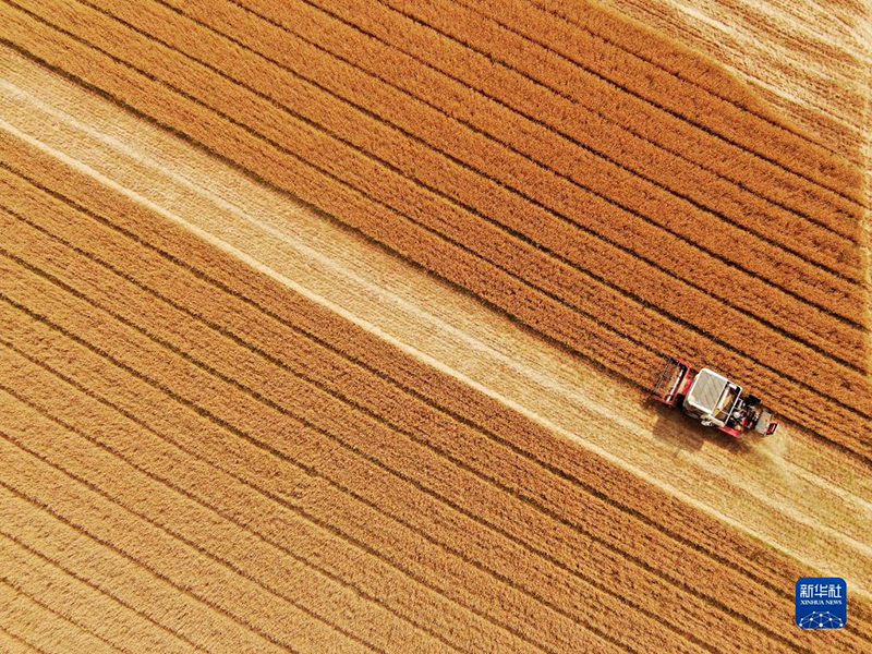 ????? ???? ???? ?? 80 ?? ?????? ?? ?????