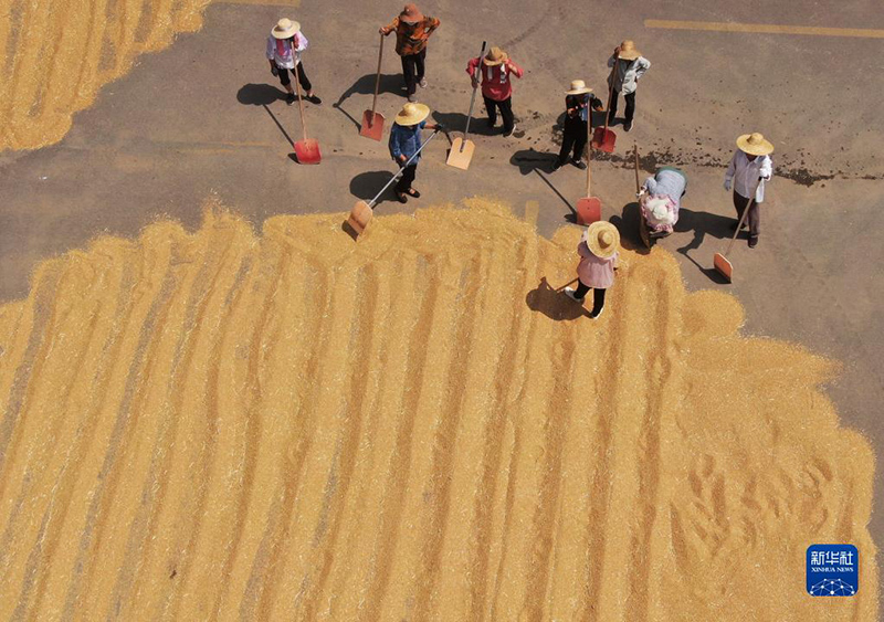 ????? ???? ???? ?? 80 ?? ?????? ?? ?????