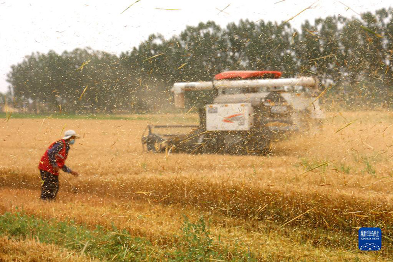 ????? ???? ???? ?? 80 ?? ?????? ?? ?????