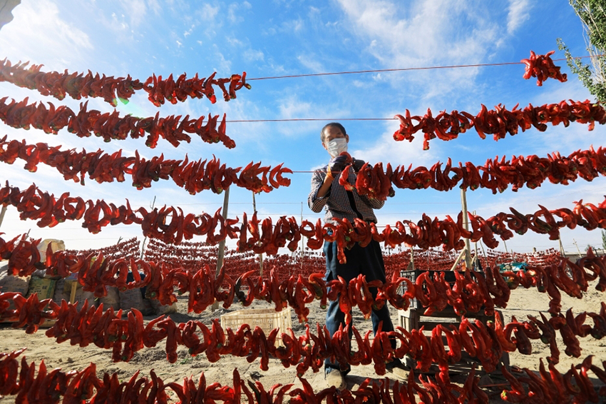 ???? ? ????????: ?????? ????? ?? ?????? ??????