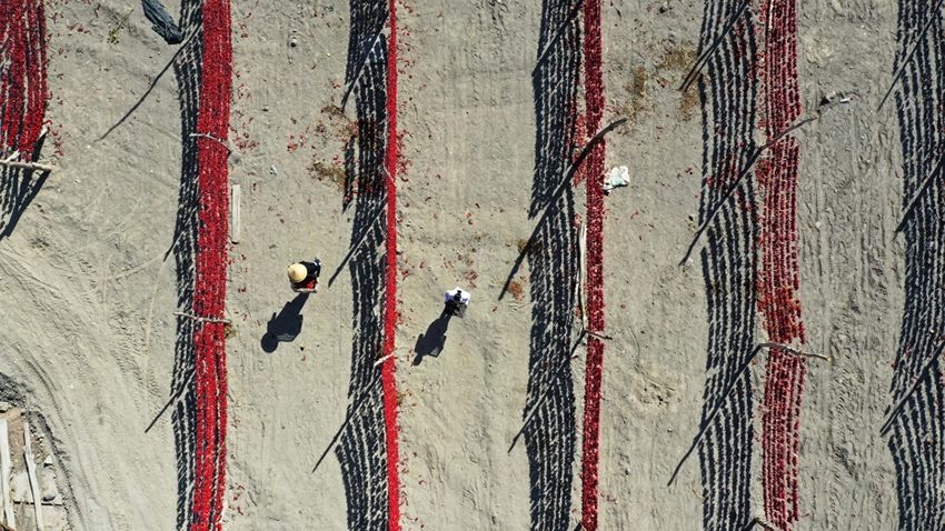 ???? ? ????????: ?????? ????? ?? ?????? ??????