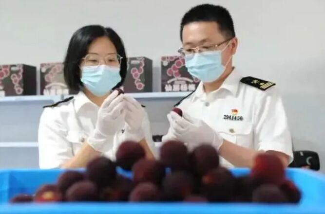 ?????? ??????? ???? ??? ???? ?? ????????? ?????? ??? ??? ??? ?????