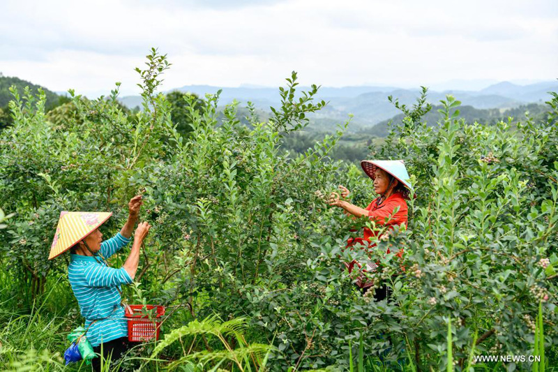 ???? ???? ????? ?????? ???? ???? ?????