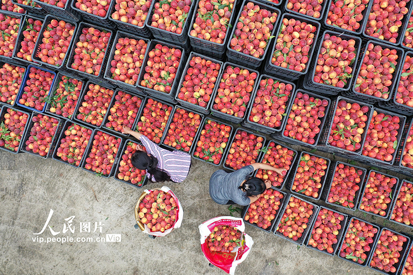 ???? ??? ????? ?????? ?? ??????????