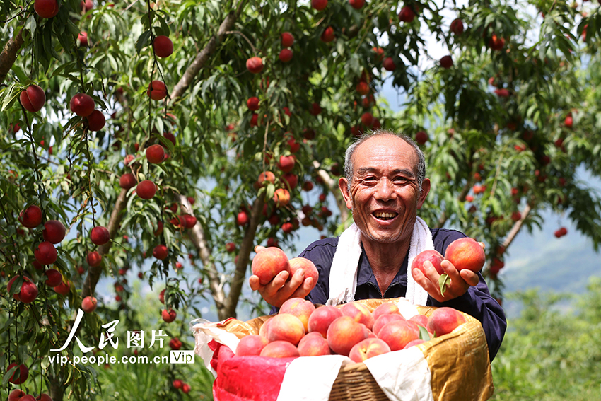 ???? ??? ????? ?????? ?? ??????????