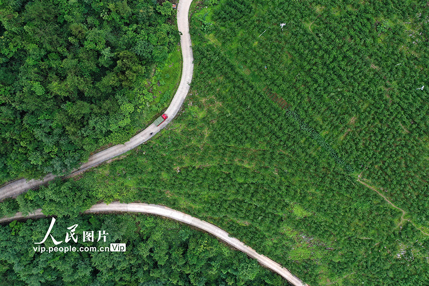 ???? ??? ????? ?????? ?? ??????????