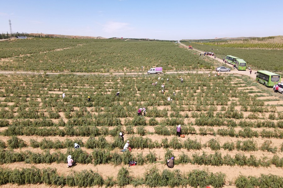 ????? ???? ??????? ???? ?? ????? ??????? ??????? ?? ??????? ??????? ????? ???? ?????