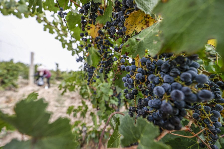 ????? ???? ??????? ???? ?? ????? ??????? ??????? ?? ??????? ??????? ????? ???? ?????