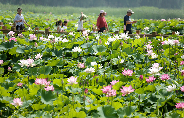 ?????:  ????? ?? ??????? ?????? ??????? ?? ??? ??? ??? ??????? ?????? ??????? 