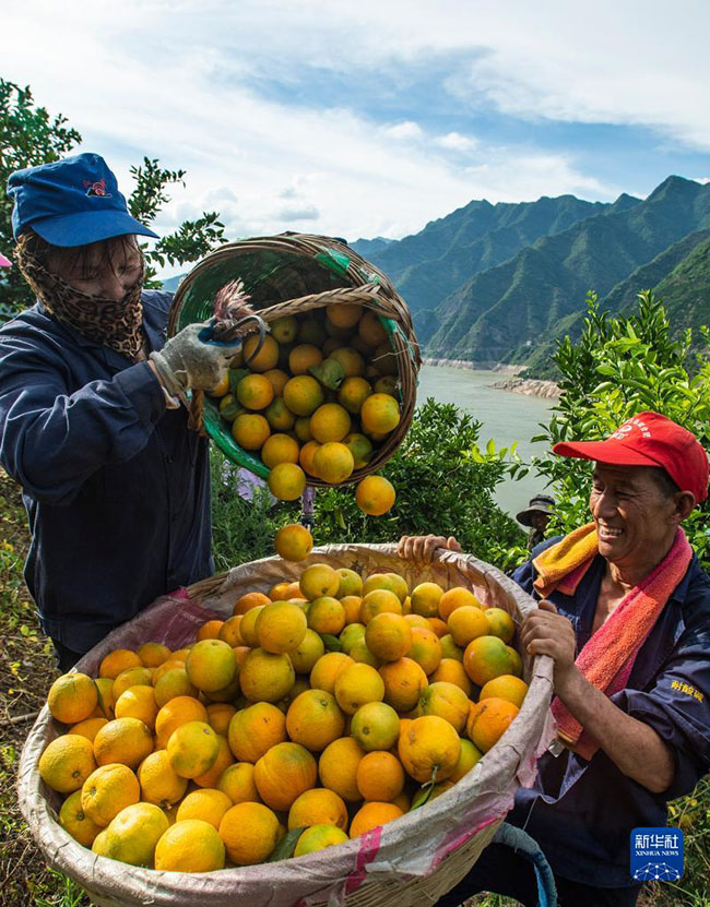 ?????? ????? ????? ???? ??? ????? ???????? ??????