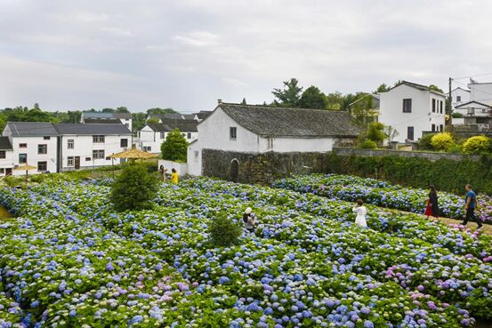  ???????? ?????????? ?????? ????? ????? ?? ?????? ???????