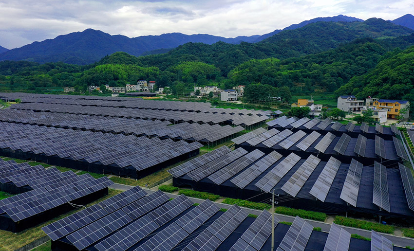 ????? ?????: ?????? ????? ????? ??????? ?????? ?????? ?????????