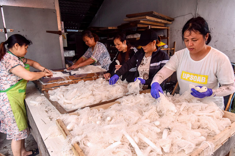 ????? ????? ???? ???? ????????? ?? ?????? ???? ????????