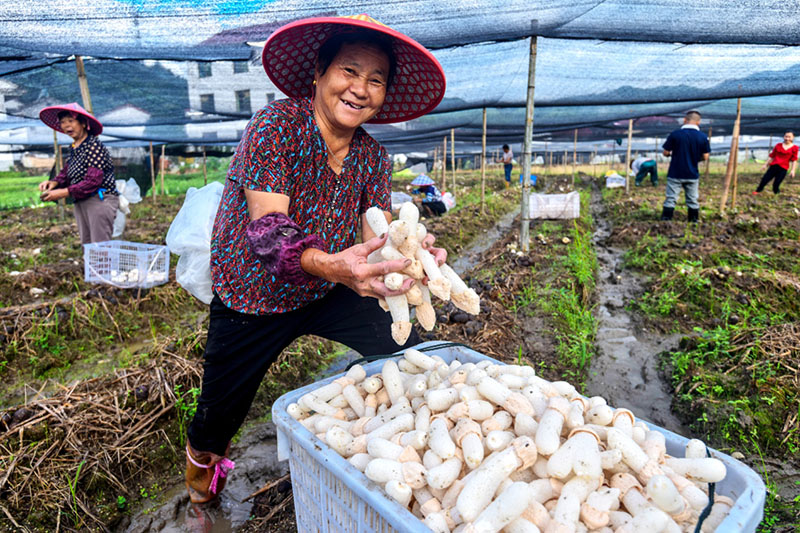 ????? ????? ???? ???? ????????? ?? ?????? ???? ????????