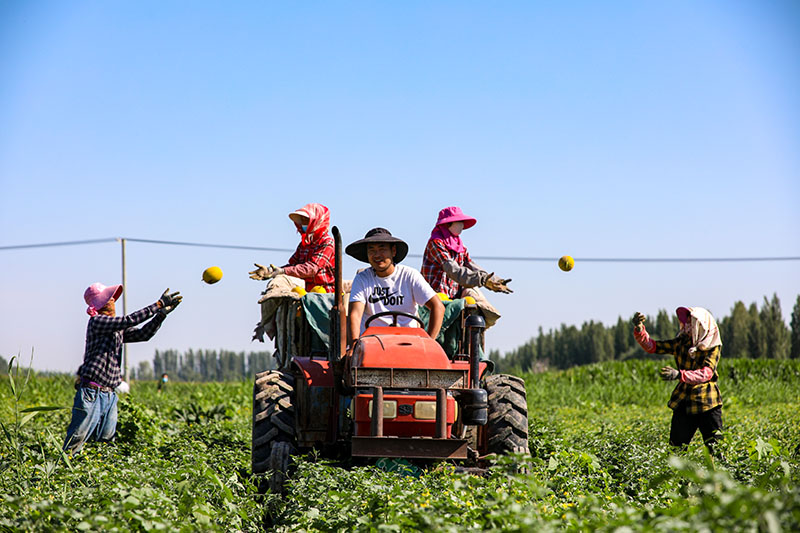 ???????? ? ????????: ?????? ?????? ?????? ?????? ?????? ?? ???? ??????