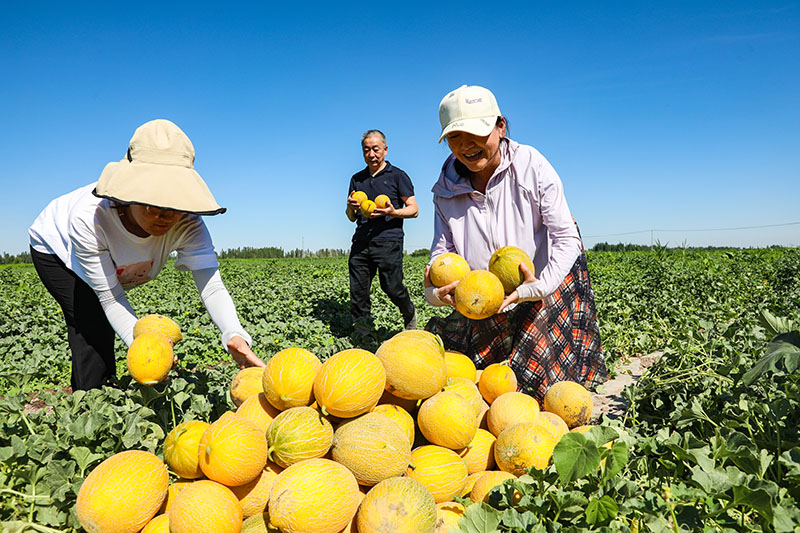 ???????? ? ????????: ?????? ?????? ?????? ?????? ?????? ?? ???? ??????