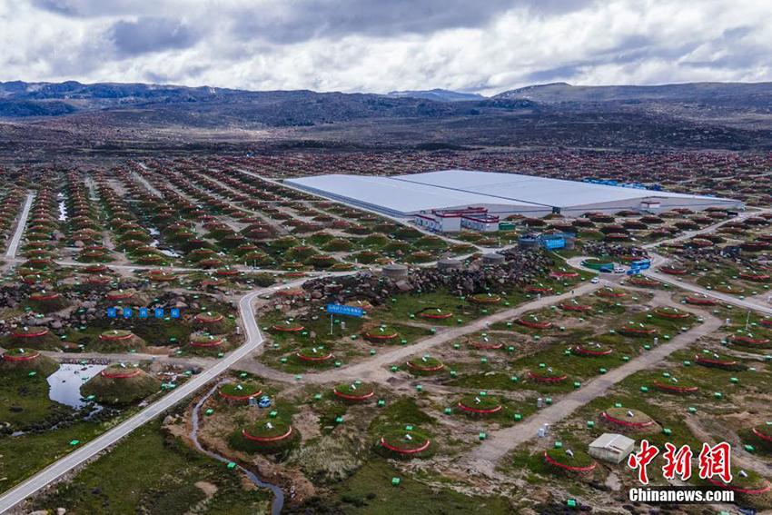 ?????? ?????? ??? ?????? ?????? ???????? (LHAASO) ?? ???????