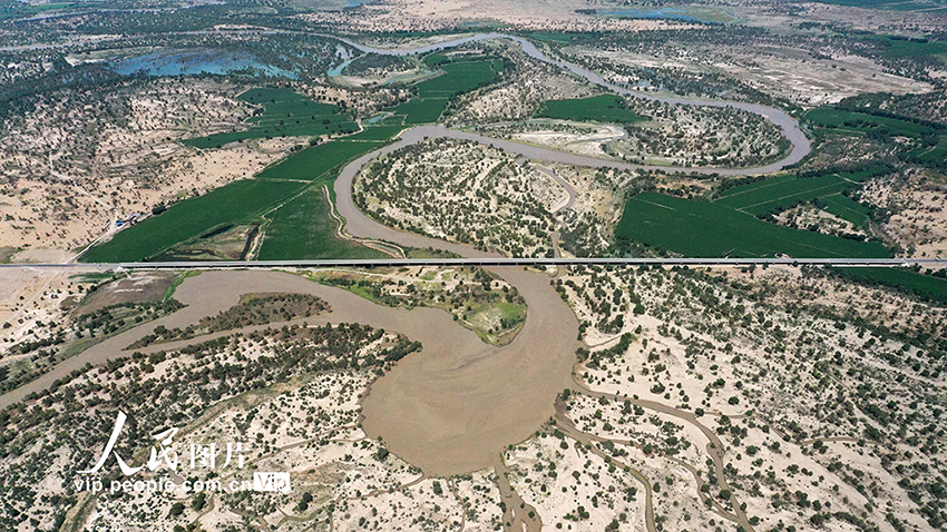 ?????? ???? ???? ???? ???? 