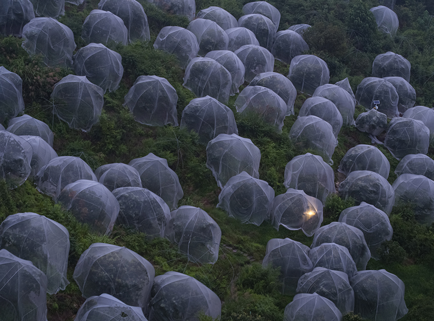 ??????? ???????: ???????? ??????? ???? ?? ??????? ????? ?? ??? ???????