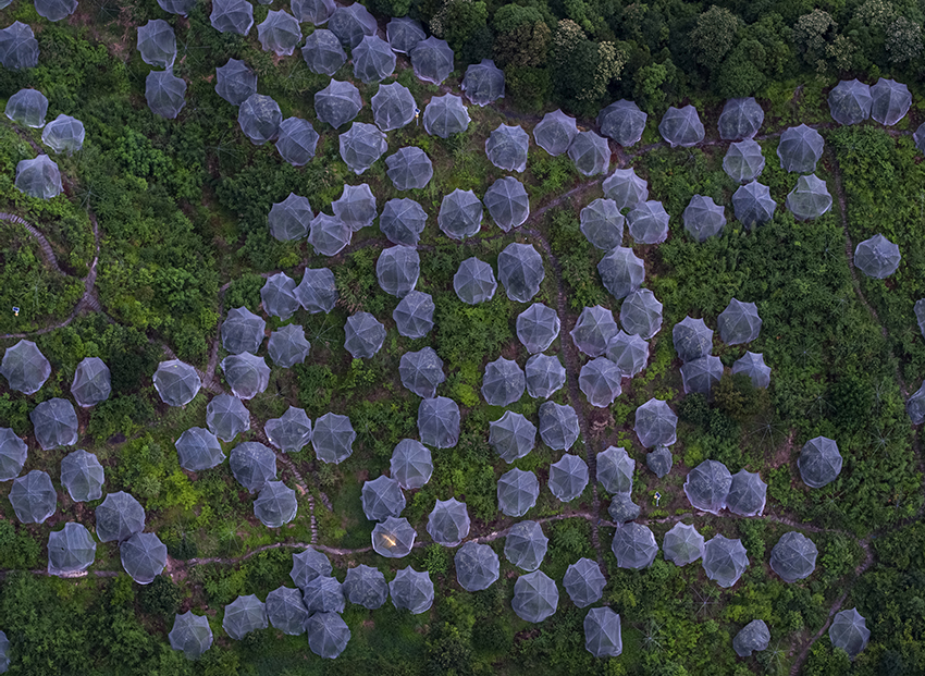 ??????? ???????: ???????? ??????? ???? ?? ??????? ????? ?? ??? ???????