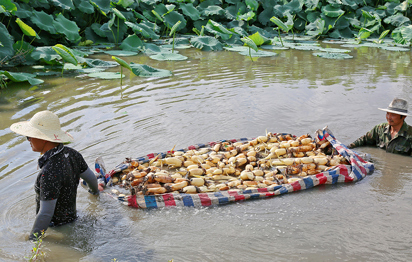 ???? ???? ?????? ?? ?????? ???????