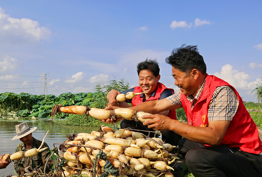 ???? ???? ?????? ?? ?????? ???????