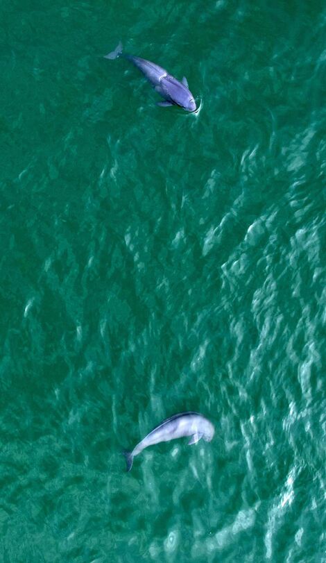 ?????: ??????????? ??????? ????? ?? ????? ????? ?????? ?? ?????