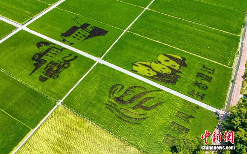 ???? ????? ?? ?????? ????? ?????? ???????