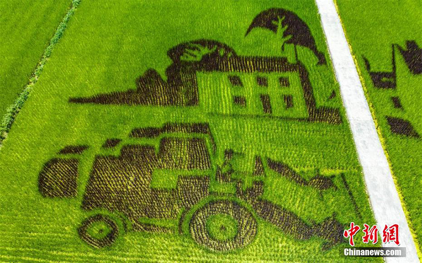 ???? ????? ?? ?????? ????? ?????? ???????