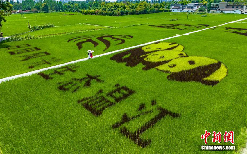 ???? ????? ?? ?????? ????? ?????? ???????