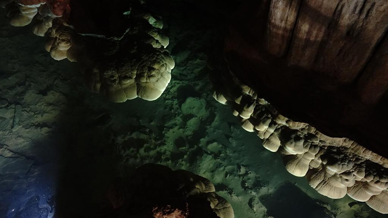 ?????? ??? ??? ????? ??? ??? ???? ?? ????? ?????