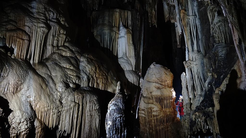 ?????? ??? ??? ????? ??? ??? ???? ?? ????? ?????