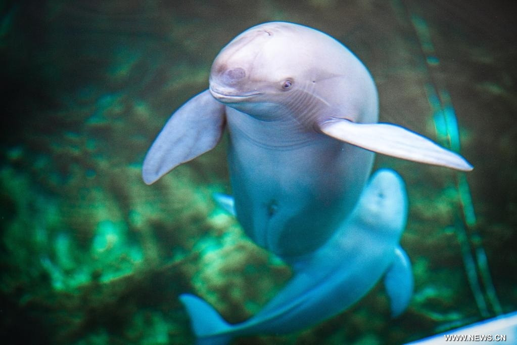 ????? ???? ?????? ??? ????????? ?? ??? ?????