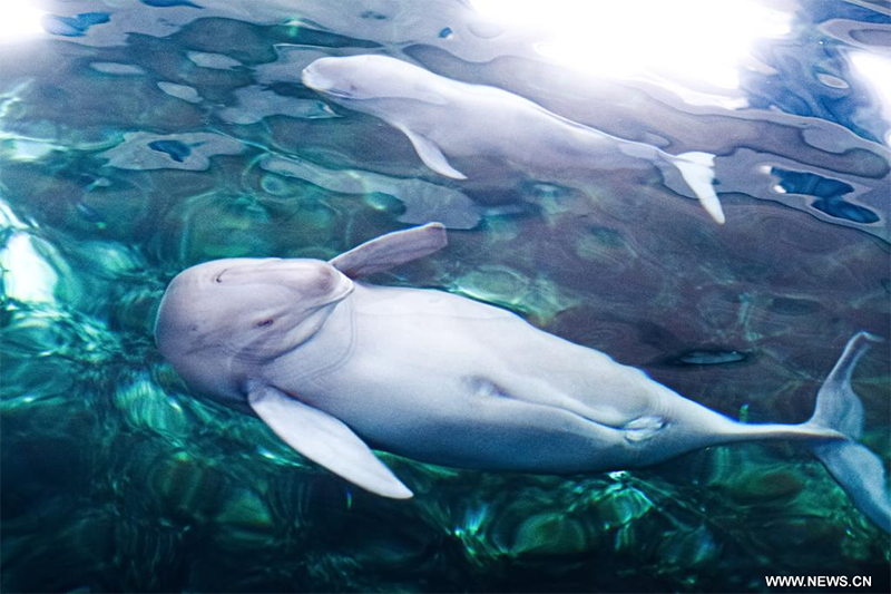 ????? ???? ?????? ??? ????????? ?? ??? ?????