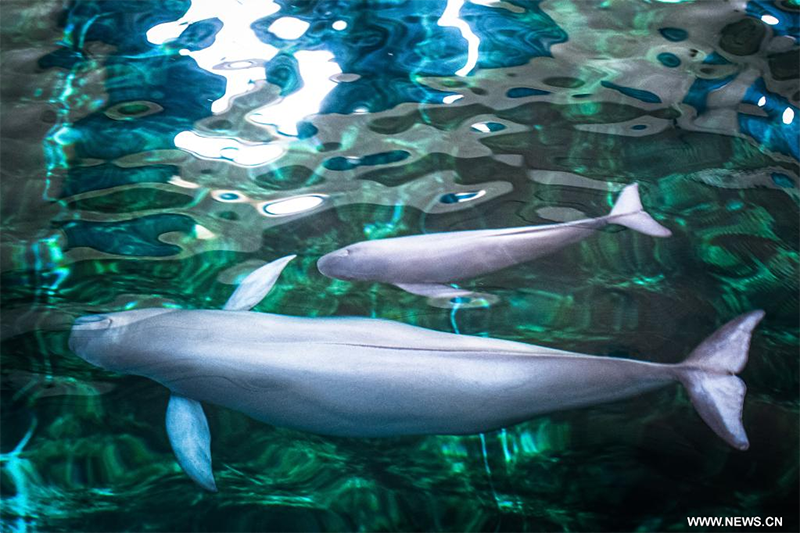 ????? ???? ?????? ??? ????????? ?? ??? ?????