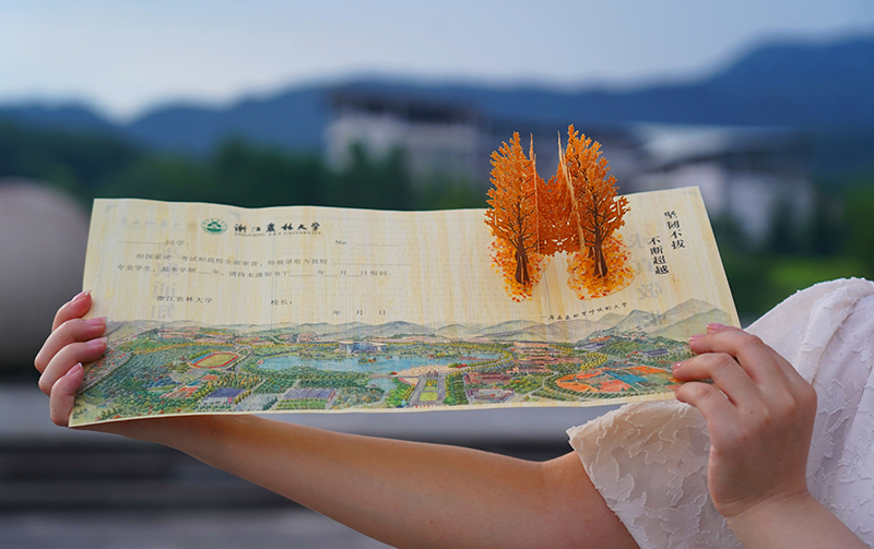 ???????? ???????: ????? ?????? ?? ??????? ?? ???????? 