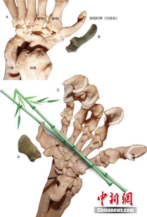 ?????: ??????? ???????? ????? ??? ???????? ??? 7 ?????? ???