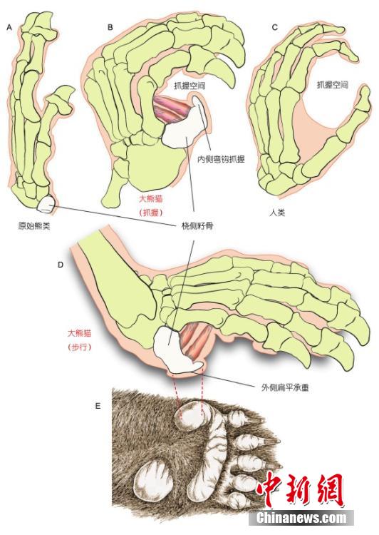 ?????: ??????? ???????? ????? ??? ???????? ??? 7 ?????? ???