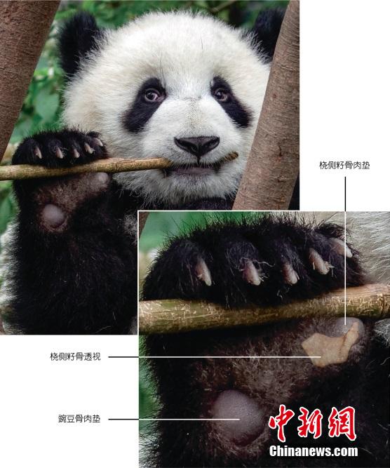 ?????: ??????? ???????? ????? ??? ???????? ??? 7 ?????? ???