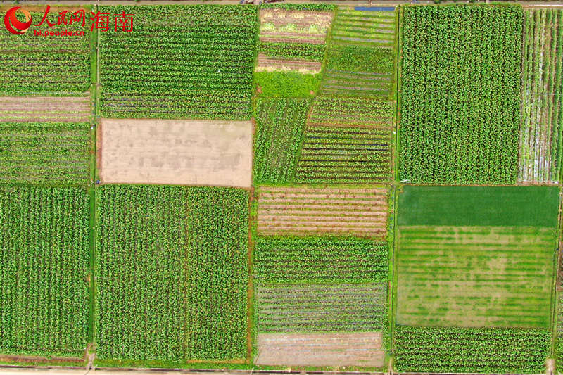 ?????? ?????? :  ???? ???? ????????? ???? ?????? ???????? ?? ???? ???????? 