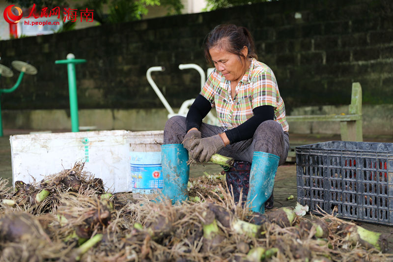 ?????? ?????? :  ???? ???? ????????? ???? ?????? ???????? ?? ???? ???????? 