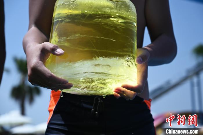 ???? ???? ?????? ?????? ???? ?? ??????????